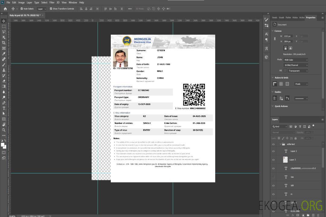 Modèle de visa électronique pour la Mongolie aux formats Word et PDF template